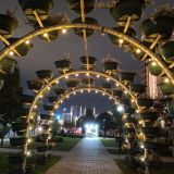 Грозный, фото отдыхающего в сентябре