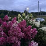Загородный отель Вилайоки Агро, фото гостя