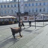 Средняя полоса России, фото отдыхающего в августе