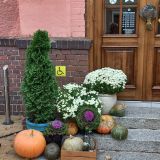 Зеленоградск, фото отдыхающего в октябре