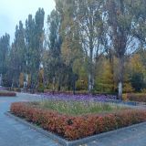 Центральная Россия, фото отдыхающего в октябре