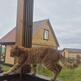 Загородный клуб Санни Лэйк, фото гостя