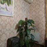 Гостевой дом Вечерний Город, фото гостя