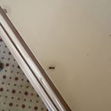 Гостевой дом Резидент, фото гостя