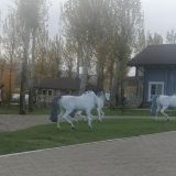 Загородный отель Каменный ручей, фото гостя