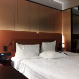 Отель Mercure Hotel and Residences Saint Petersburg, фото гостя