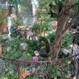 Гостиница Летучая мышь, фото гостя