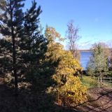 Ленинградская область, фото отдыхающего в октябре
