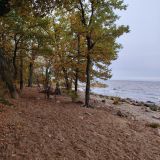 Ленинградская область, фото отдыхающего в октябре